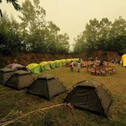 Adventure Jungle Camping in Mudumalai 